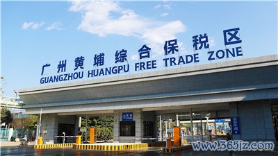 广州qm楼凤楼